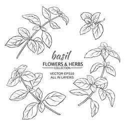 Similar image 17245457