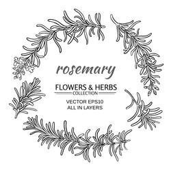 Similar image 17245460