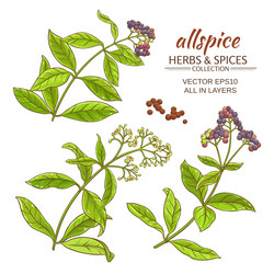 Similar image 17245475