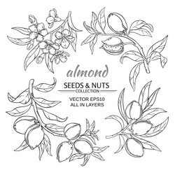 Similar image 17245302