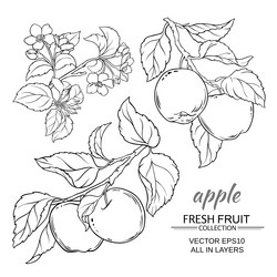 Similar image 17245310