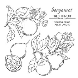 Similar image 17245315