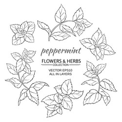 Similar image 17245347