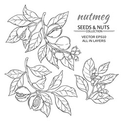 Similar image 17245350