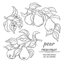 Similar image 17245368