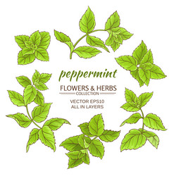 Similar image 17245390