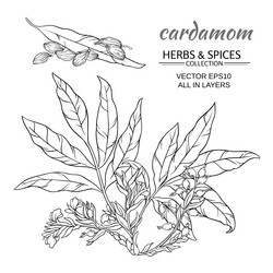 Similar image 17245409