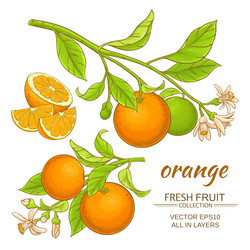 Similar image 17245435