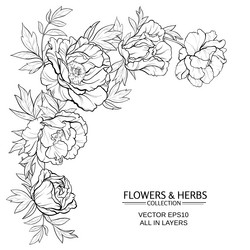 Similar image 17245529