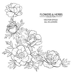 Similar image 17245530