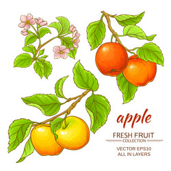 Similar image 17245581