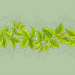 Similar image 17245398