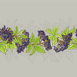 Similar image 17245444