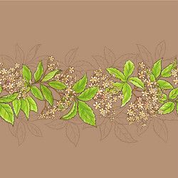 Similar image 17245466