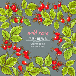 Similar image 17245340