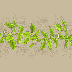 Similar image 17245342