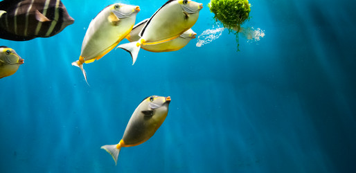 Similar image 16924679