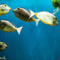 Similar image 16924697