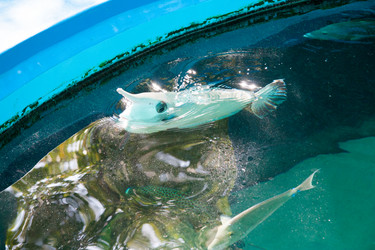 Similar image 17239560