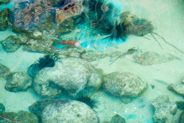 Similar image 17239561