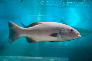 Similar image 17239562