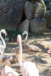 Similar image 17239565