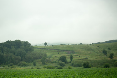 Similar image 17239567