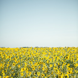 Similar image 17239568