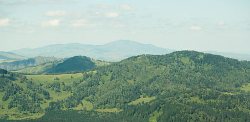 Similar image 17239573