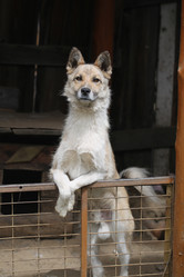 Similar image 17239577