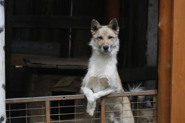 Similar image 17239579