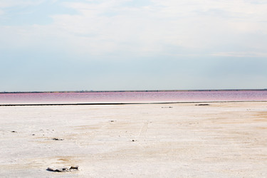 Similar image 17239586