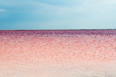 Similar image 17239588