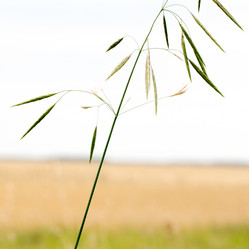 Similar image 17244244