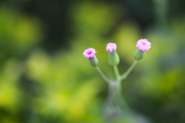 Similar image 16924680