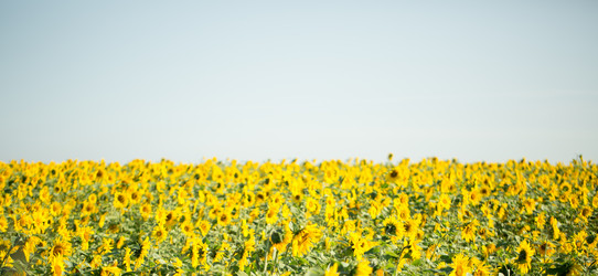 Similar image 17239580