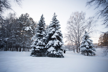 Similar image 17239589