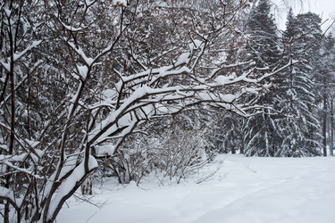 Similar image 17239592