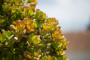 Similar image 17239594