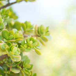 Similar image 17239595