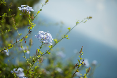 Similar image 17244268