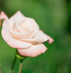 Similar image 16924694