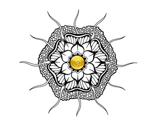 Similar image 16922320