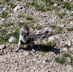 Similar image 17249070