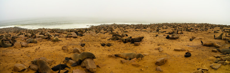 Similar image 17249076