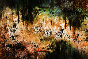 Similar image 16923125