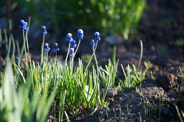 Similar image 17244206