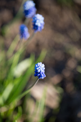 Similar image 17244209