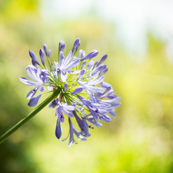 Similar image 17244210