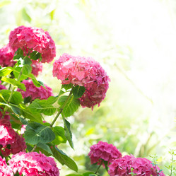 Similar image 17244211